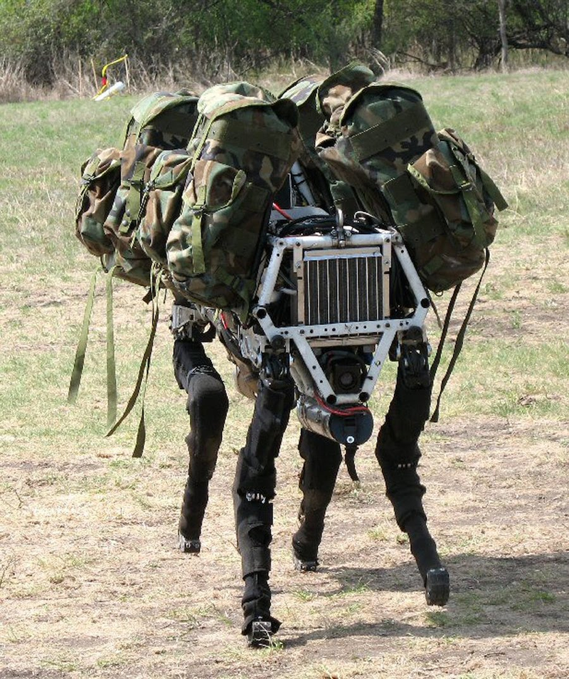 Illustration for article titled The Most Uncanny Robotic Animals That Humankind Has Ever Invented